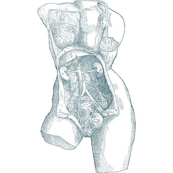 Les ateliers modulables